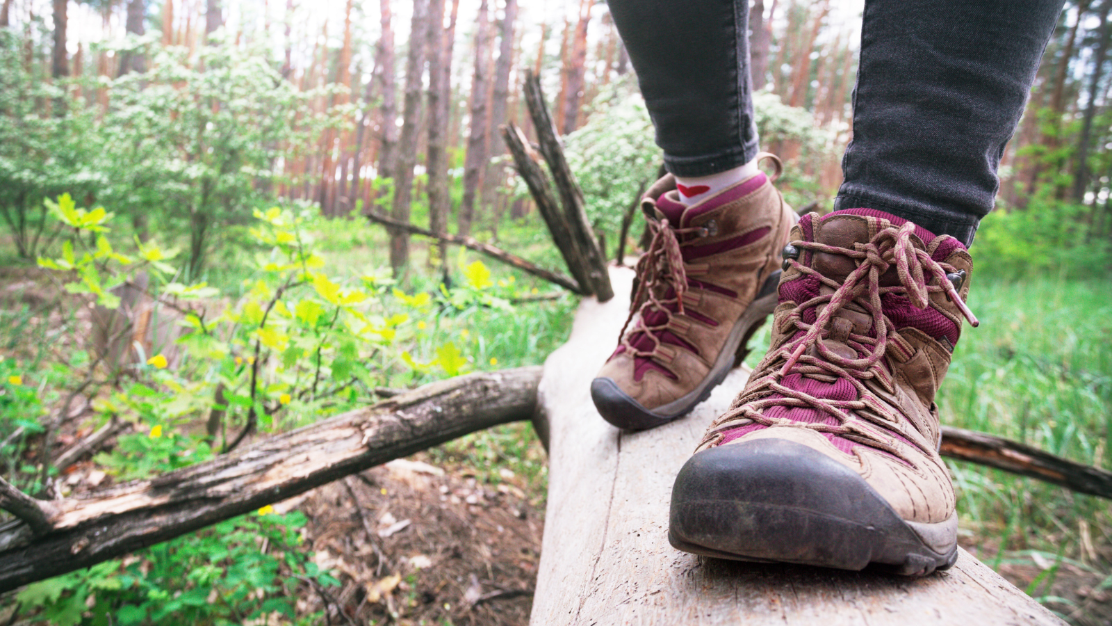 איך לבחור נעלי טיולים